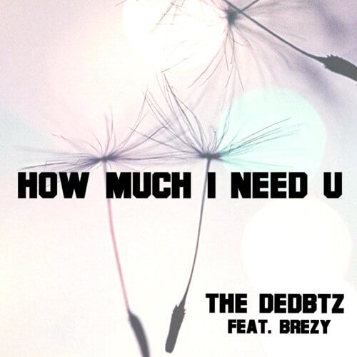 The Dedbtz How Much I Need You, Brezy