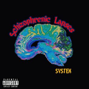Cover System — Schizophrenic Lapses